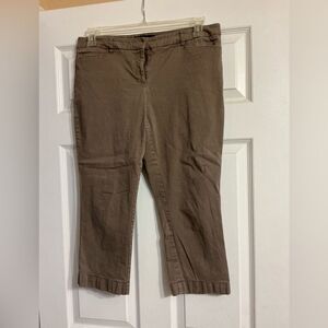 New York and Co. Brown Capris